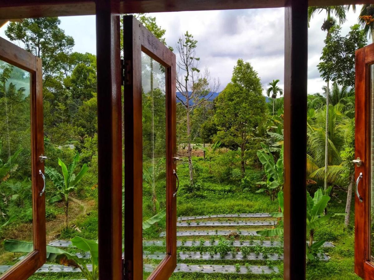 Sumatra Orangutan Discovery Villa Bukit Lawang Ngoại thất bức ảnh