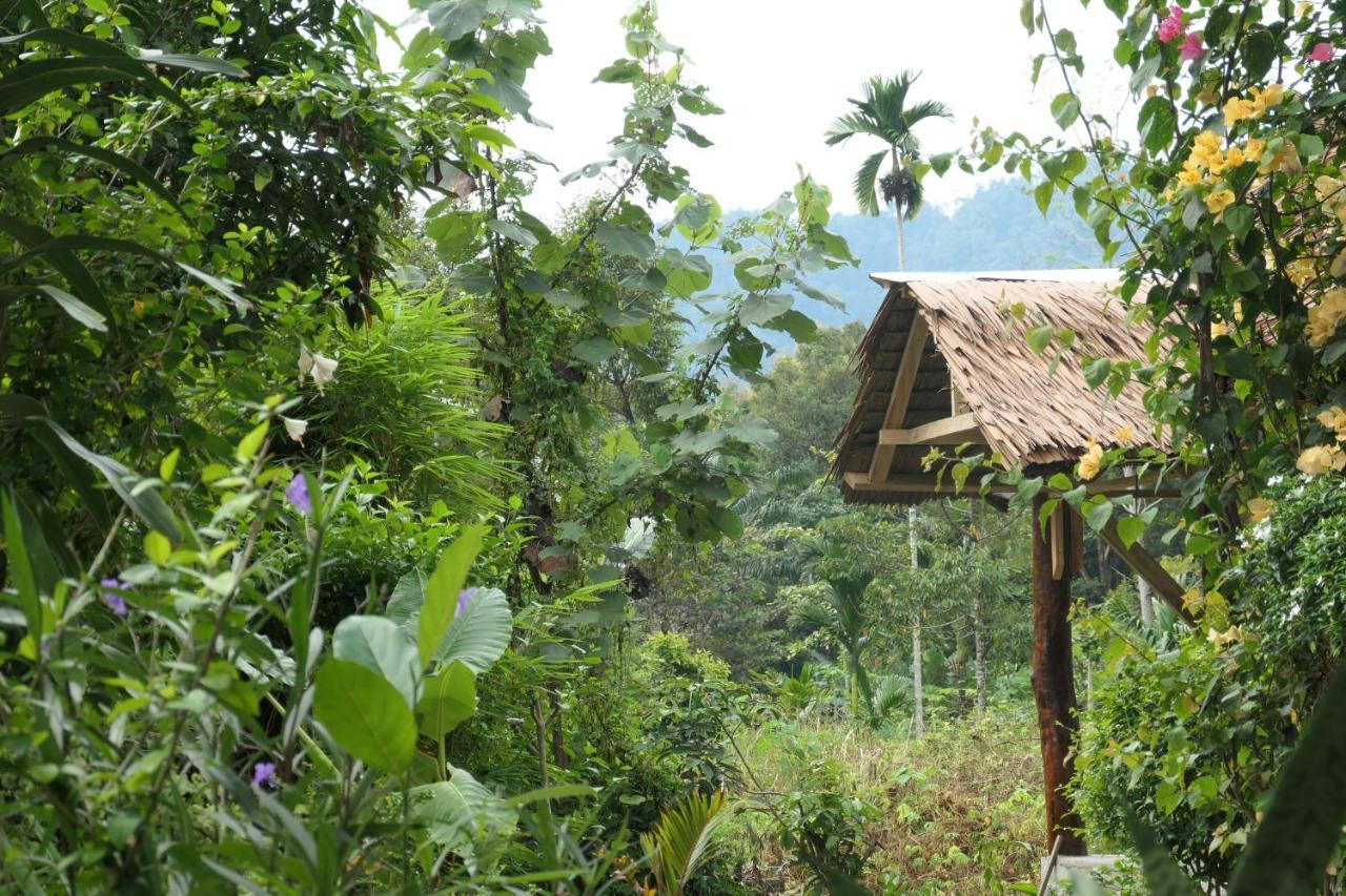 Sumatra Orangutan Discovery Villa Bukit Lawang Ngoại thất bức ảnh